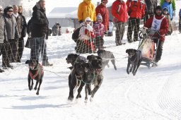 Lenk 2012 SM